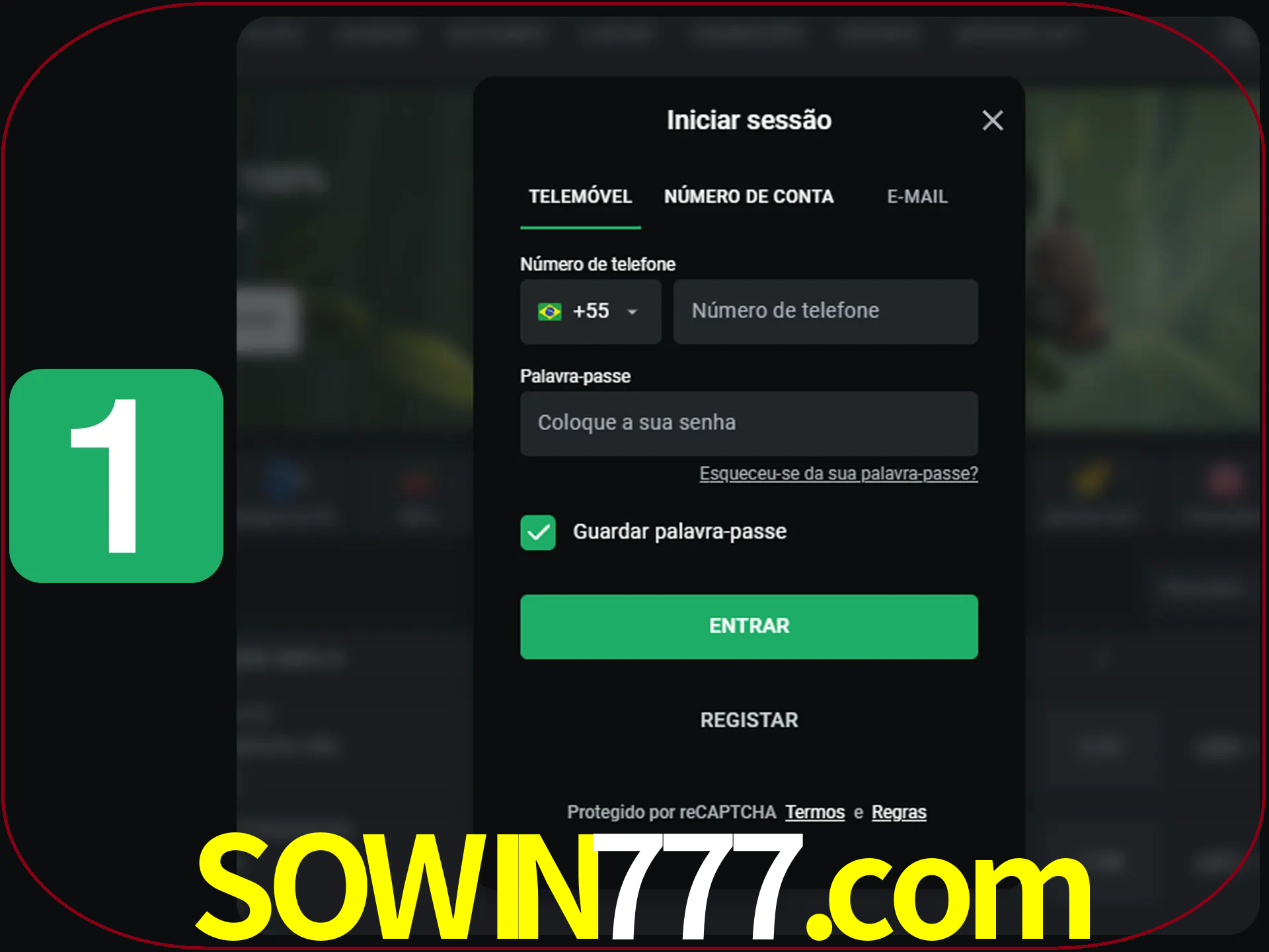 Clique no botão Entrar.